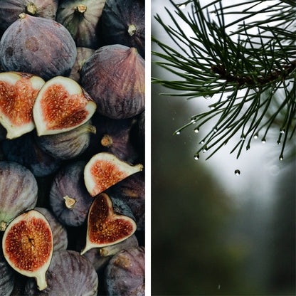 FIGS SCENTED CANDLE