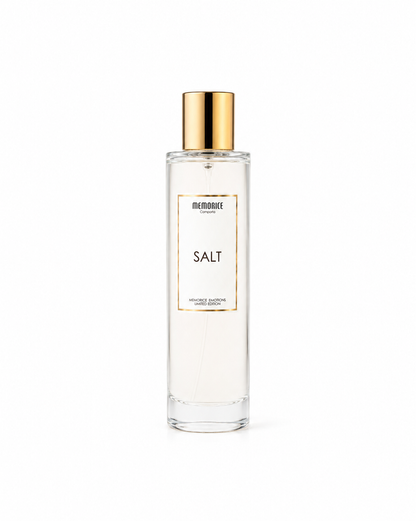SPRAY AMBIENTADOR SALT